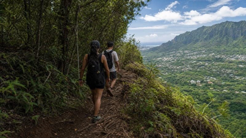 Mānoa trail in Oʻahu's lush mountain forest